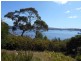 64 Barton Avenue, Triabunna TAS 7190
