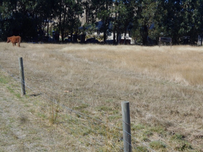 75 Inkerman Street, Triabunna TAS 7190