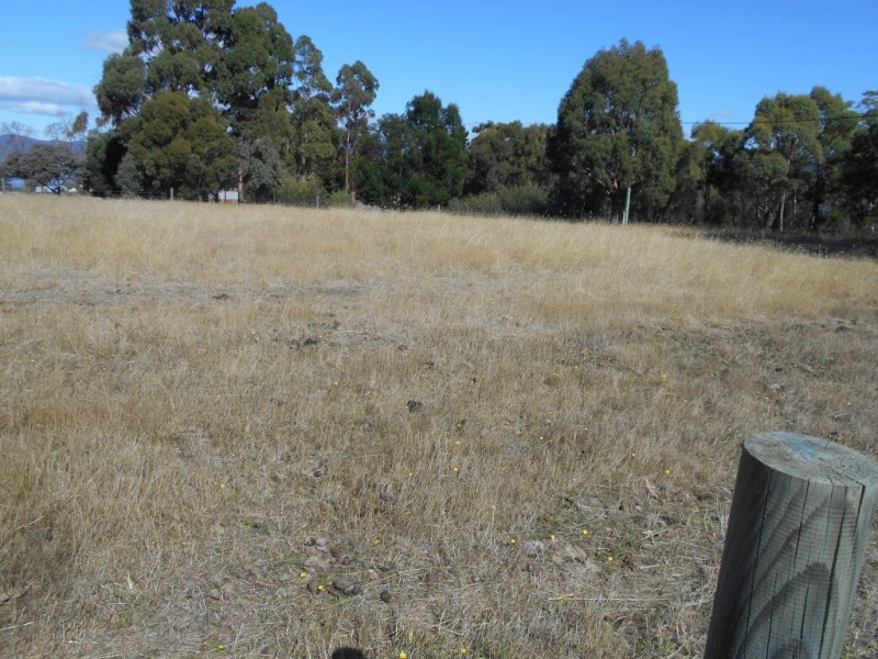 75 Inkerman Street, Triabunna TAS 7190
