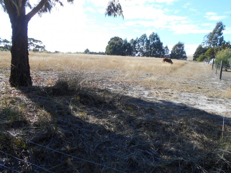 75 Inkerman Street, Triabunna TAS 7190