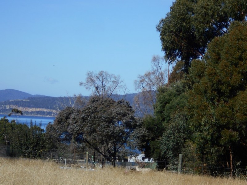 75 Inkerman Street, Triabunna TAS 7190