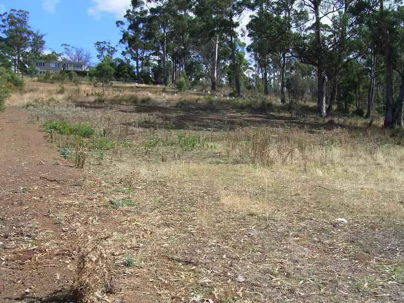 30 Charles Street, Orford TAS 7190