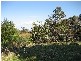 1610 Woodsdale Road, Levendale TAS 7120