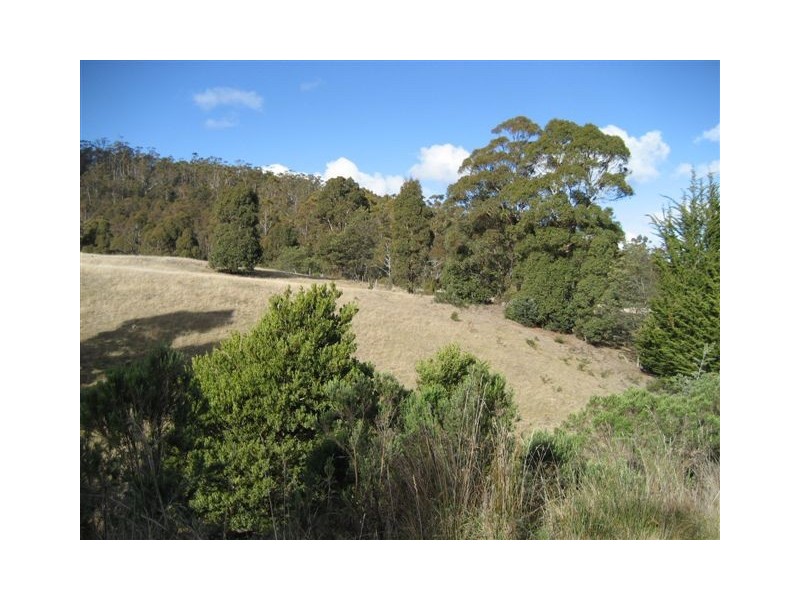 1610 Woodsdale Road, Levendale TAS 7120