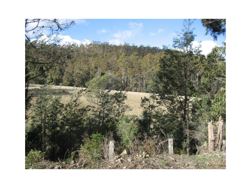 1610 Woodsdale Road, Levendale TAS 7120