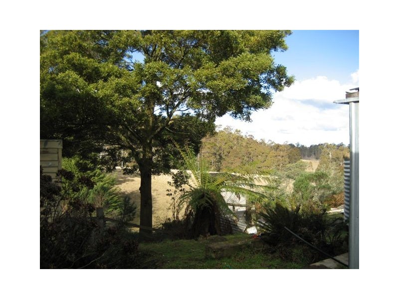 1610 Woodsdale Road, Levendale TAS 7120