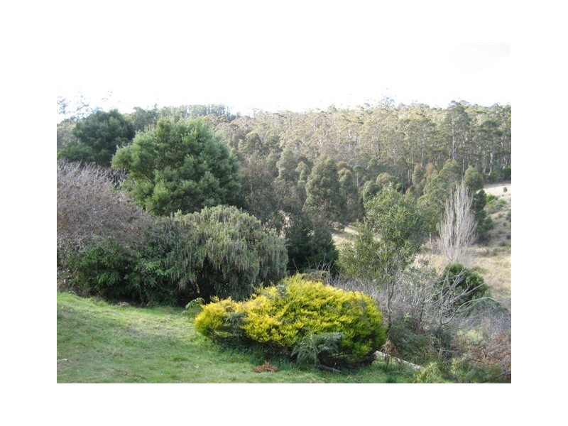 1610 Woodsdale Road, Levendale TAS 7120