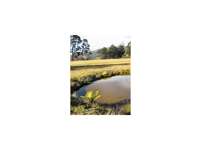 50 New Country Marsh Road, Levendale TAS 7120