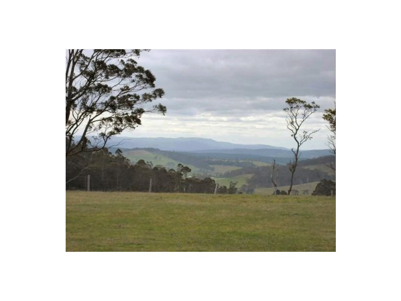50 New Country Marsh Road, Levendale TAS 7120