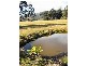 50 New Country Marsh Road, Levendale TAS 7120