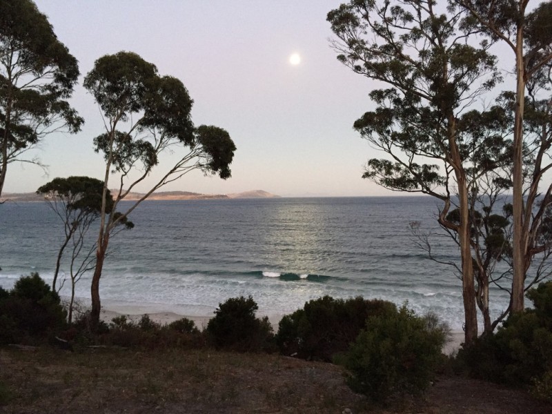 459 Rheban Road, Spring Beach TAS 7190