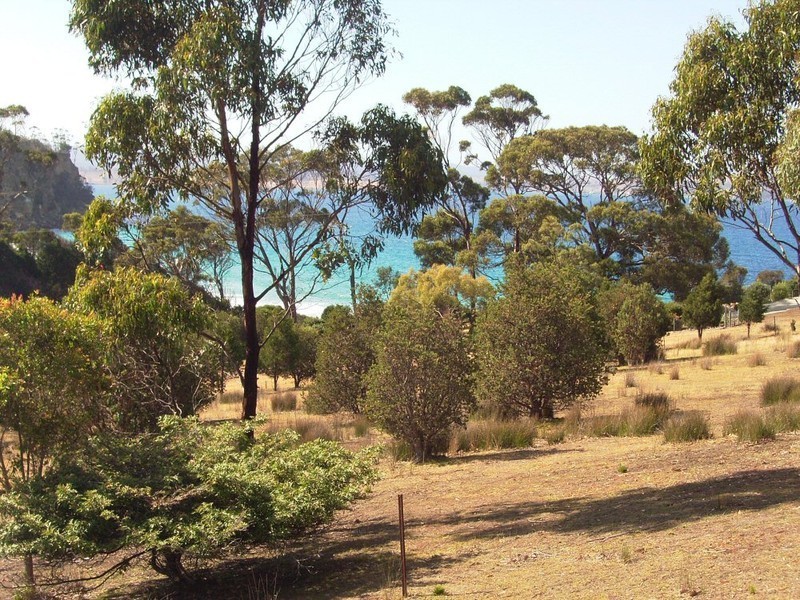 497 Rheban Road, Spring Beach TAS 7190