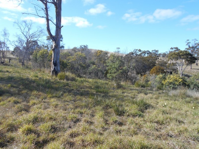 79 Inkerman Street, Triabunna TAS 7190