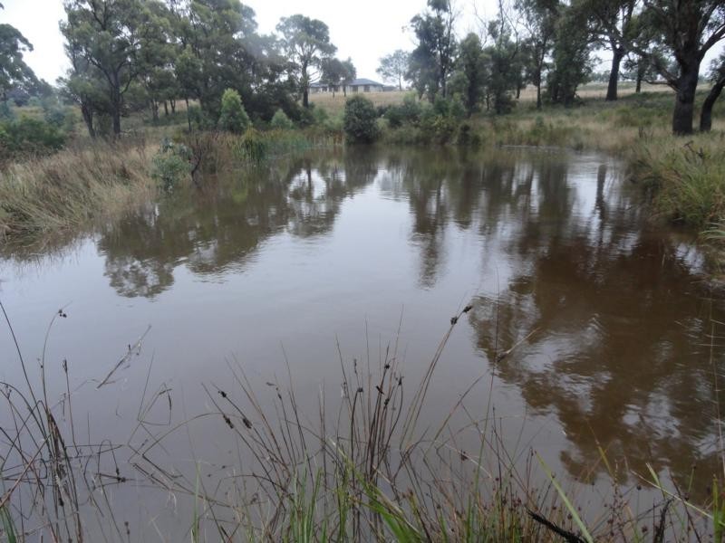 79 Inkerman Street, Triabunna TAS 7190