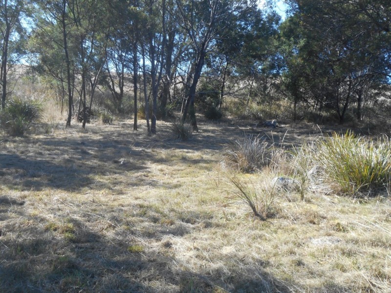 79 Inkerman Street, Triabunna TAS 7190