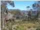 79 Inkerman Street, Triabunna TAS 7190