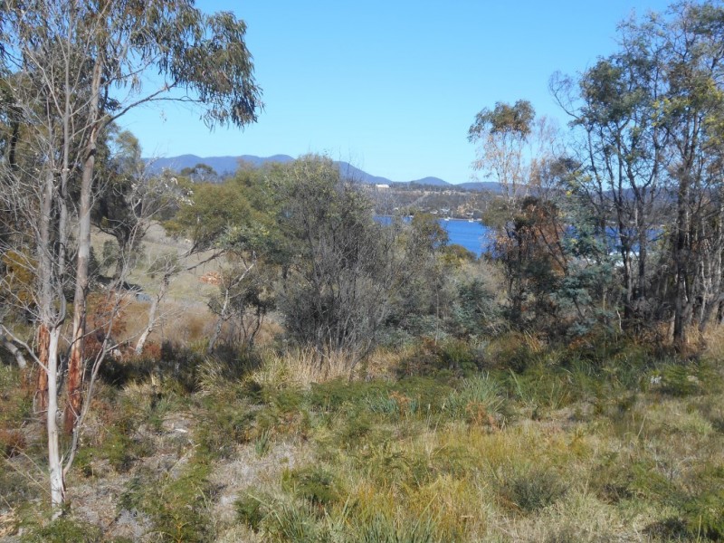 79 Inkerman Street, Triabunna TAS 7190