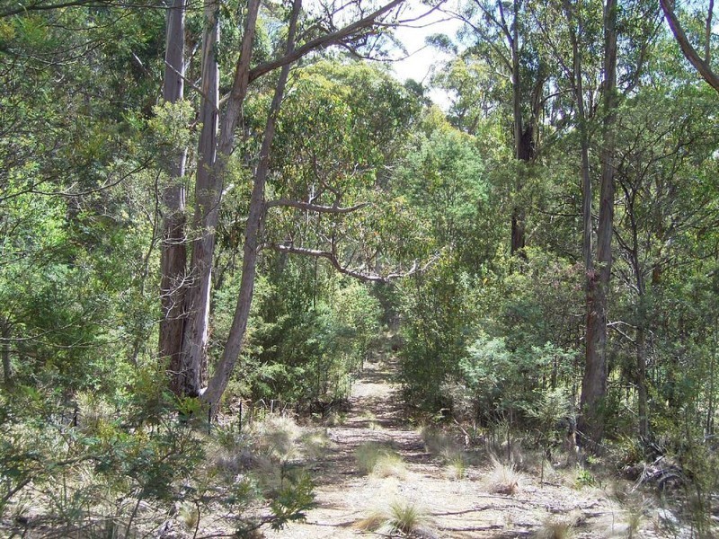 194 Alma Road, Orford TAS 7190