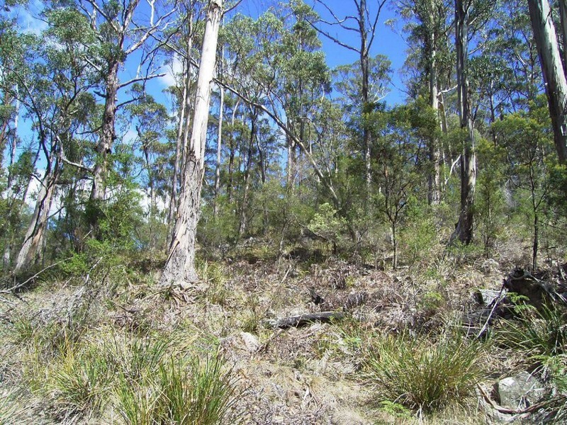 194 Alma Road, Orford TAS 7190