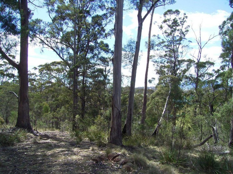 194 Alma Road, Orford TAS 7190