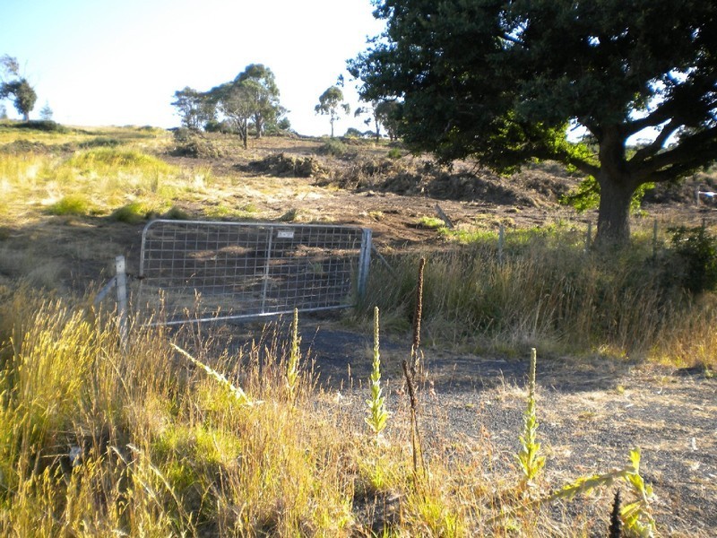 High Street, Buckland TAS 7190