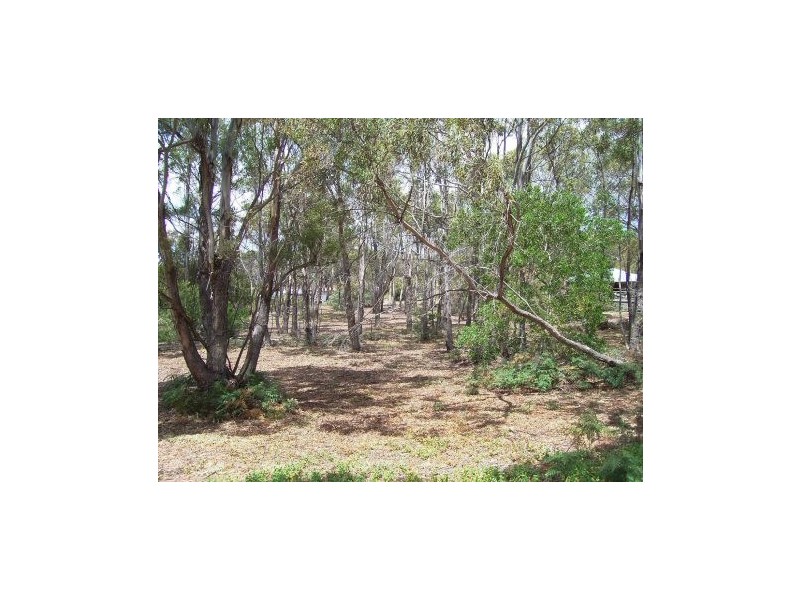 Lot 1,306 Rheban Road, Spring Beach TAS 7190