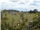 20 Tasman Highway, Triabunna TAS 7190