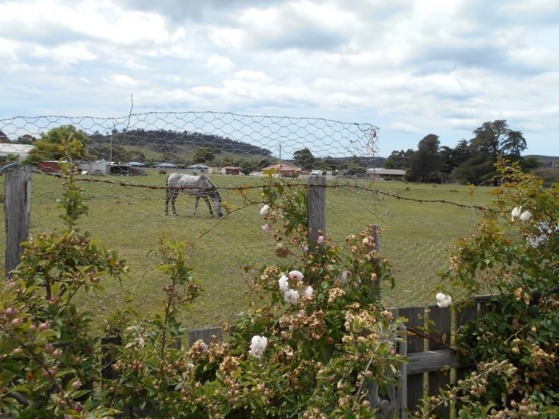20 Tasman Highway, Triabunna TAS 7190