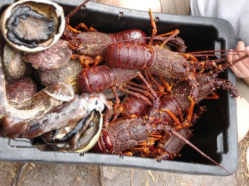 38 Barton Avenue, Triabunna TAS 7190