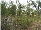 Lot 3, 219 Rheban Road, Orford TAS 7190