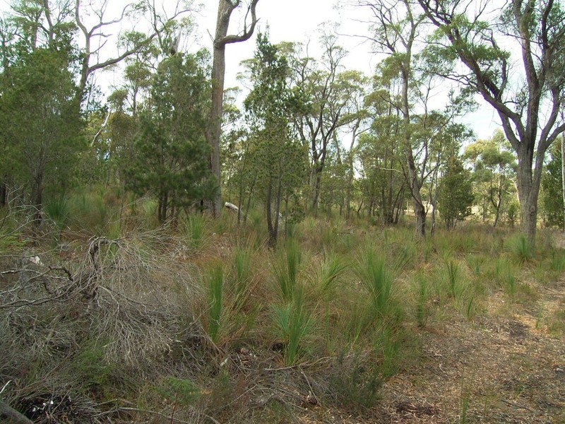 Lot 3, 219 Rheban Road, Orford TAS 7190