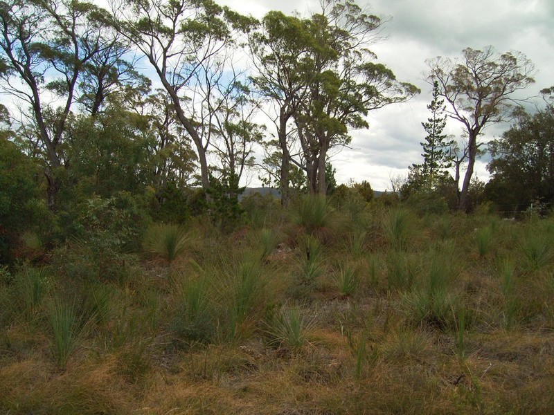 Lot 3, 219 Rheban Road, Orford TAS 7190