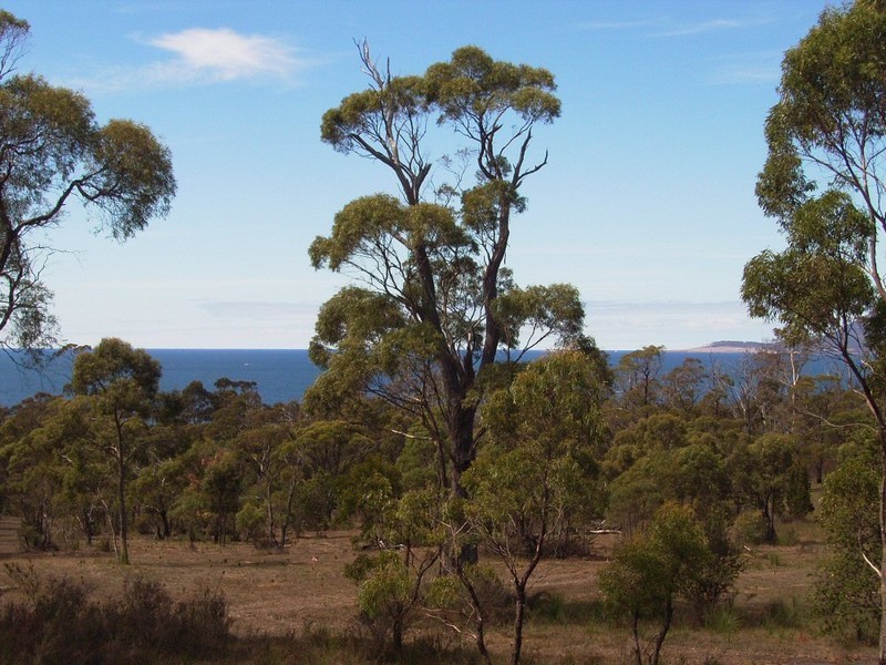 43 Happy Valley Road, Spring Beach TAS 7190