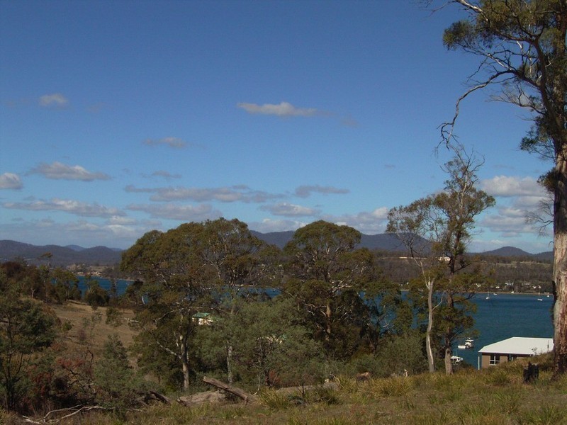 Lot 1 Inkerman Street, Triabunna TAS 7190
