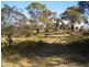 Lot 1 Inkerman Street, Triabunna TAS 7190