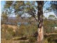 Lot 1 Inkerman Street, Triabunna TAS 7190