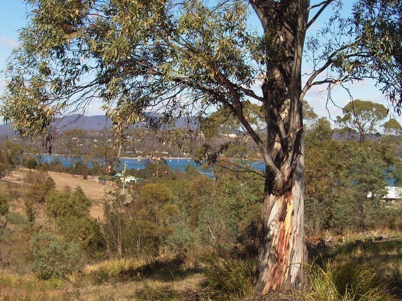 Lot 1 Inkerman Street, Triabunna TAS 7190