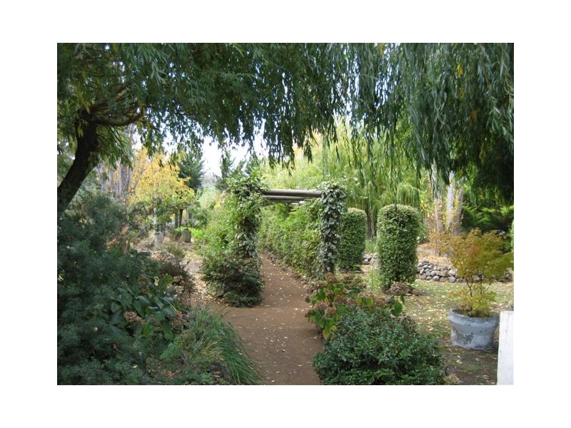 4 Henry Street, Triabunna TAS 7190