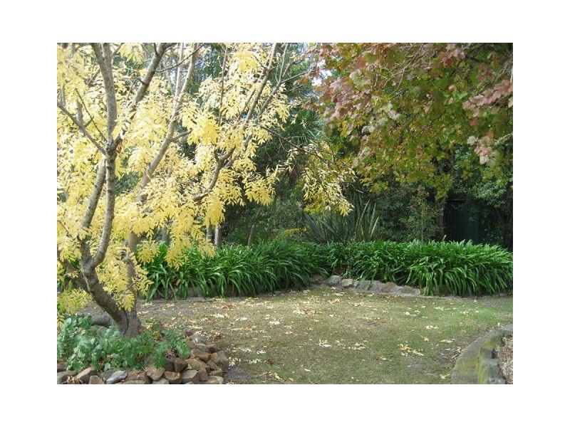 4 Henry Street, Triabunna TAS 7190