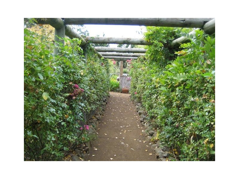 4 Henry Street, Triabunna TAS 7190