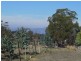 Lot 2 Inkerman Street, Triabunna TAS 7190