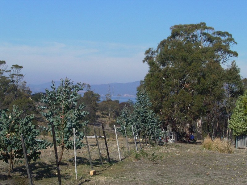 Lot 2 Inkerman Street, Triabunna TAS 7190
