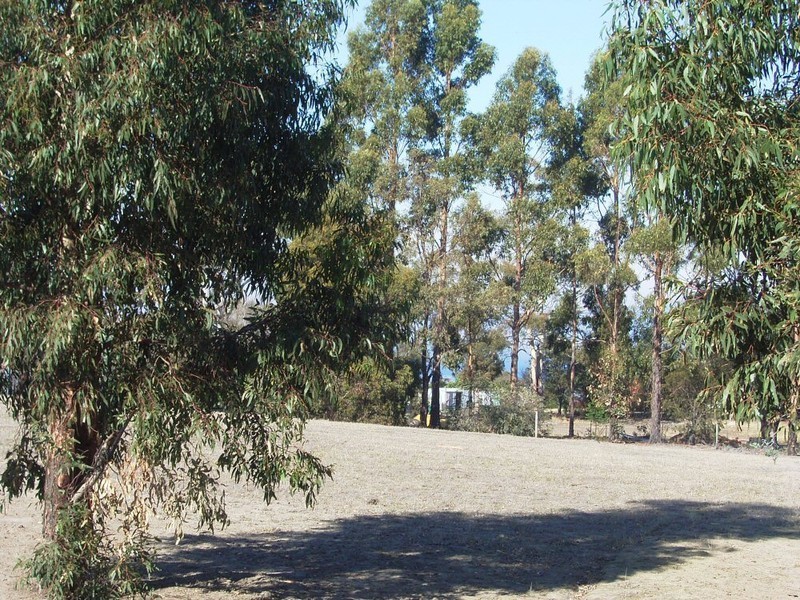 Lot 2 Inkerman Street, Triabunna TAS 7190