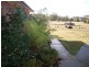 14 Holkham Court, Orford TAS 7190