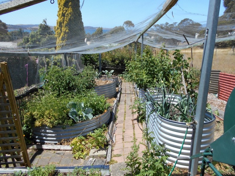 15 Prosser Street, Orford TAS 7190