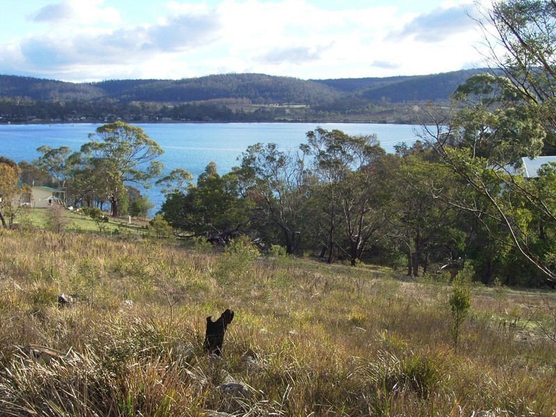 83 Inkerman Street, Triabunna TAS 7190