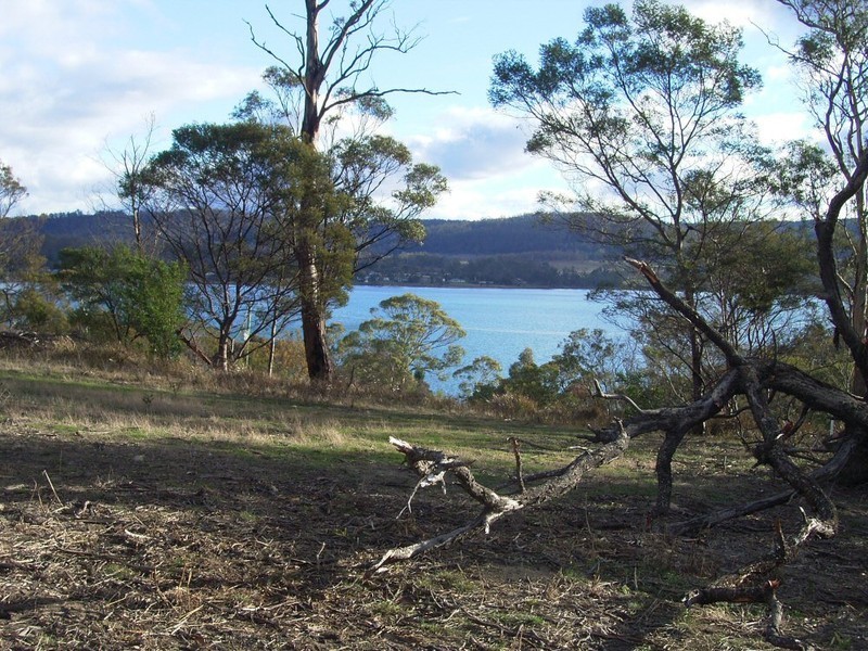 83 Inkerman Street, Triabunna TAS 7190