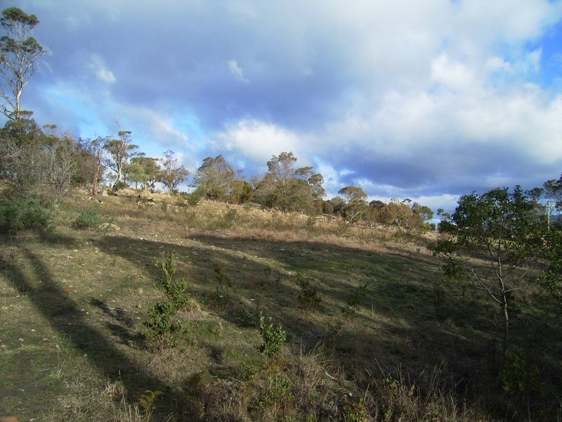 83 Inkerman Street, Triabunna TAS 7190