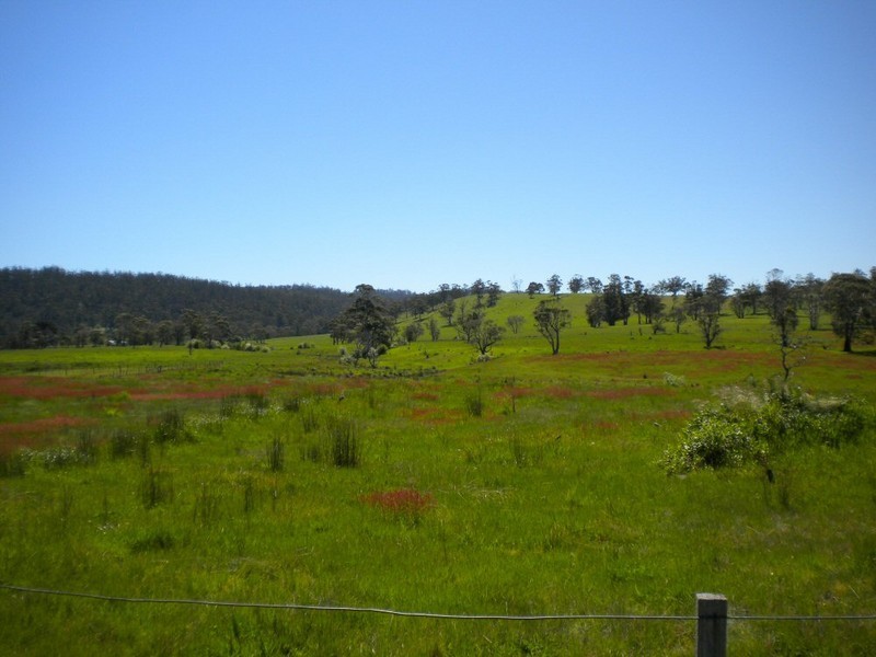 . Duke Street, Buckland TAS 7190