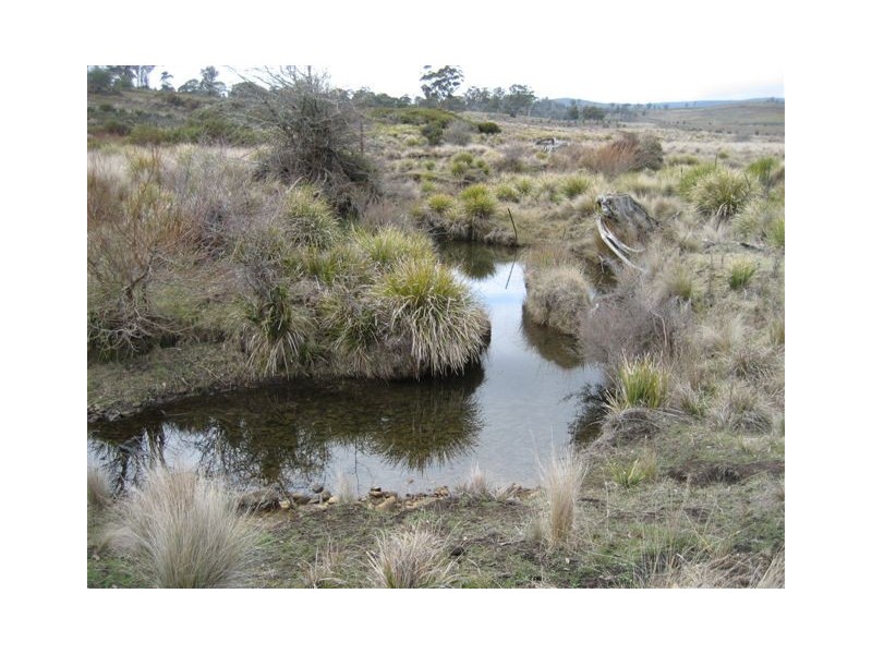 . Duke Street, Buckland TAS 7190